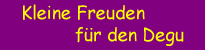 Kleine Freuden für den Degu